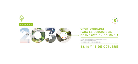 Cumbre 2030: Opportunities for the Impact Ecosystem in Colombia